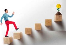 معرفی ۵ جوان کارآفرین ایرانی در سال ۱۴۰۳